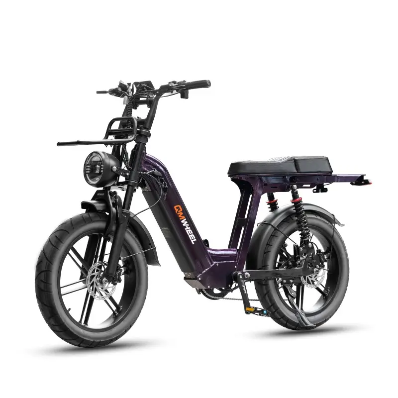 D50