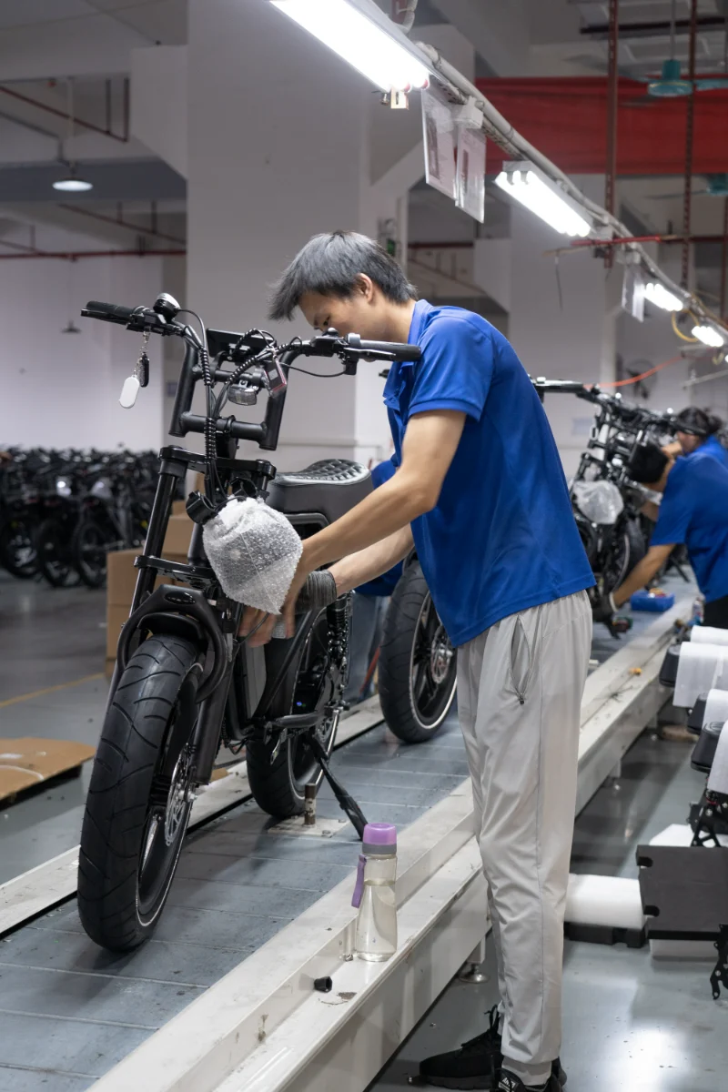 OEM de vélo à gros pneus hors route OEM de vélo à gros pneus hors route