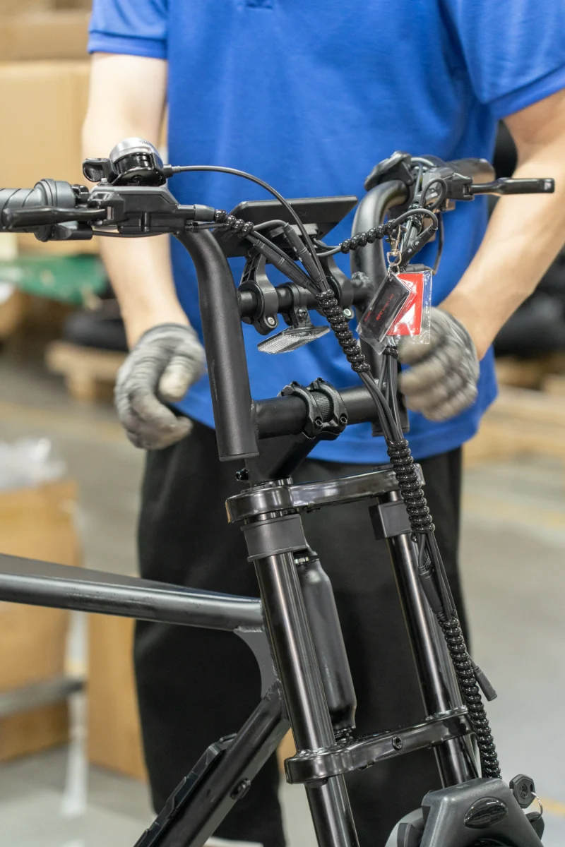 Vélo de montagne électrique personnalisé