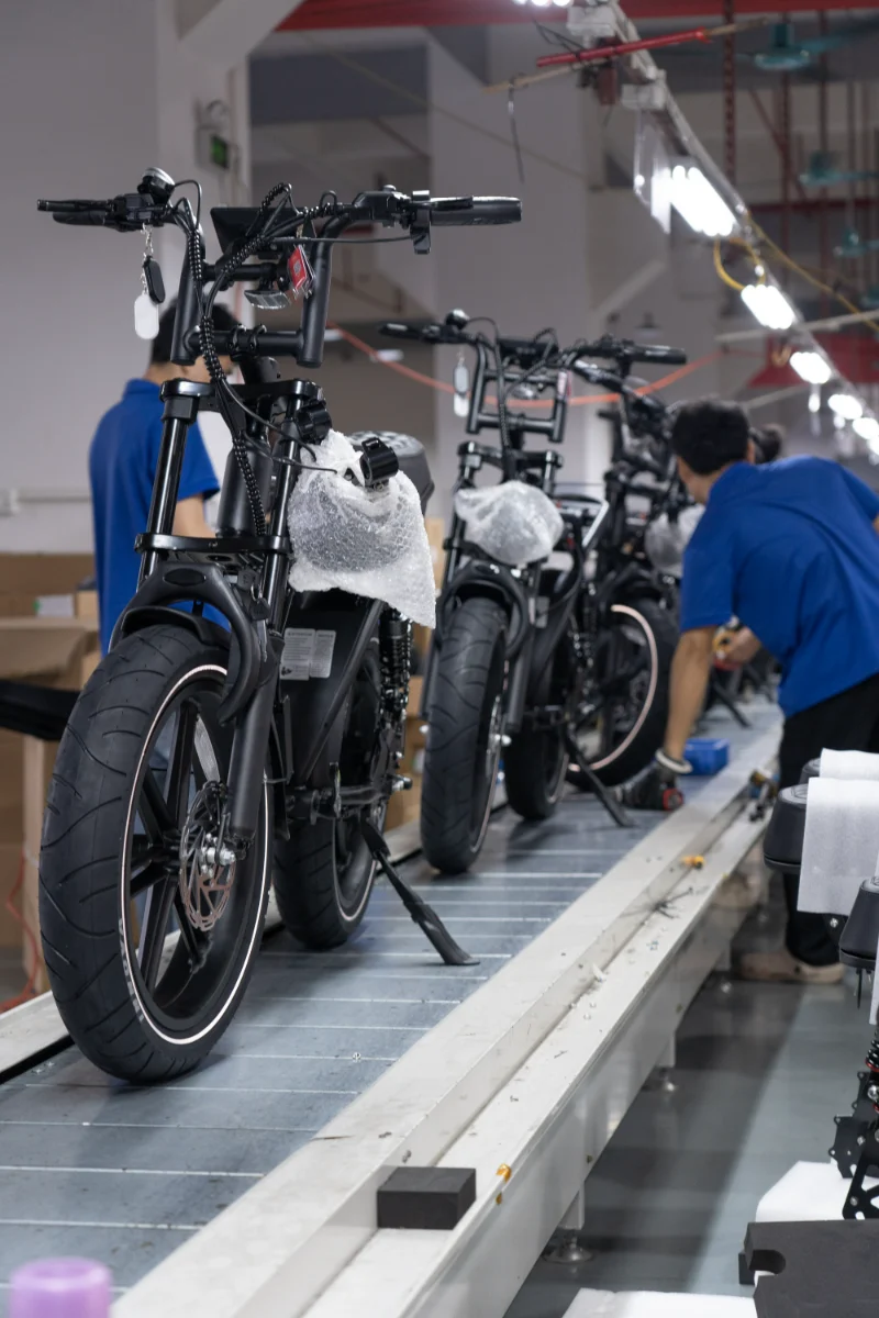 Vélo de montagne électrique personnalisé