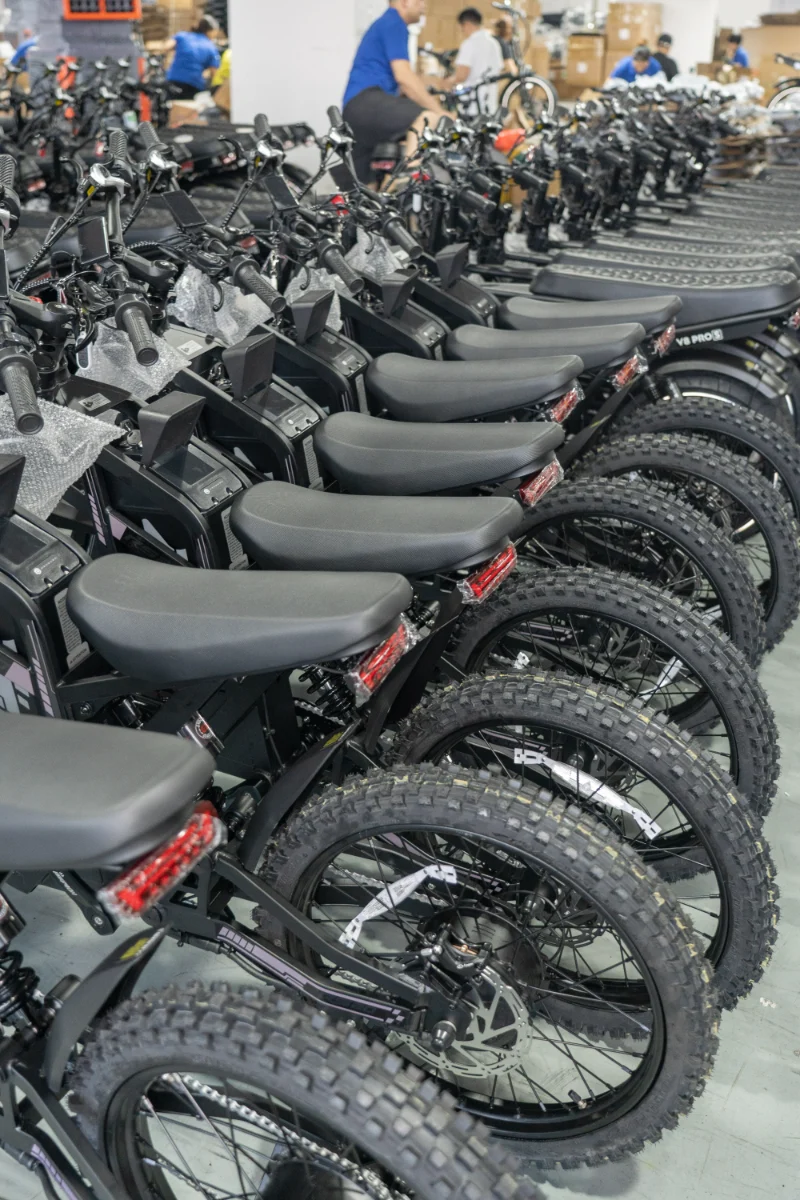 V&eacute;lo &eacute;lectrique tout terrain &agrave; gros pneus avec options de double batterie longue port&eacute;e