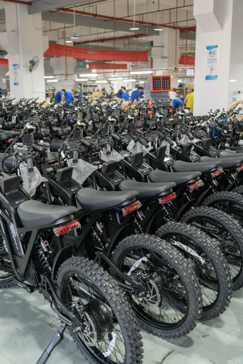 V&eacute;lo &eacute;lectrique &agrave; double batterie et gros pneus pour les routes de gravier et les aventures en plein air