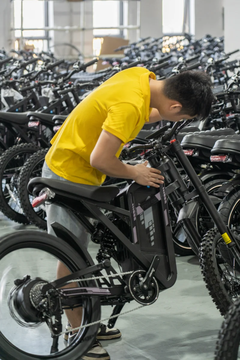 Vélo électrique tout terrain à gros pneus