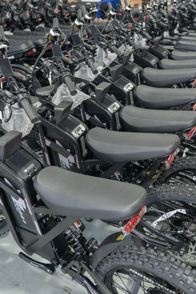 Vélo électrique à double batterie et gros pneus