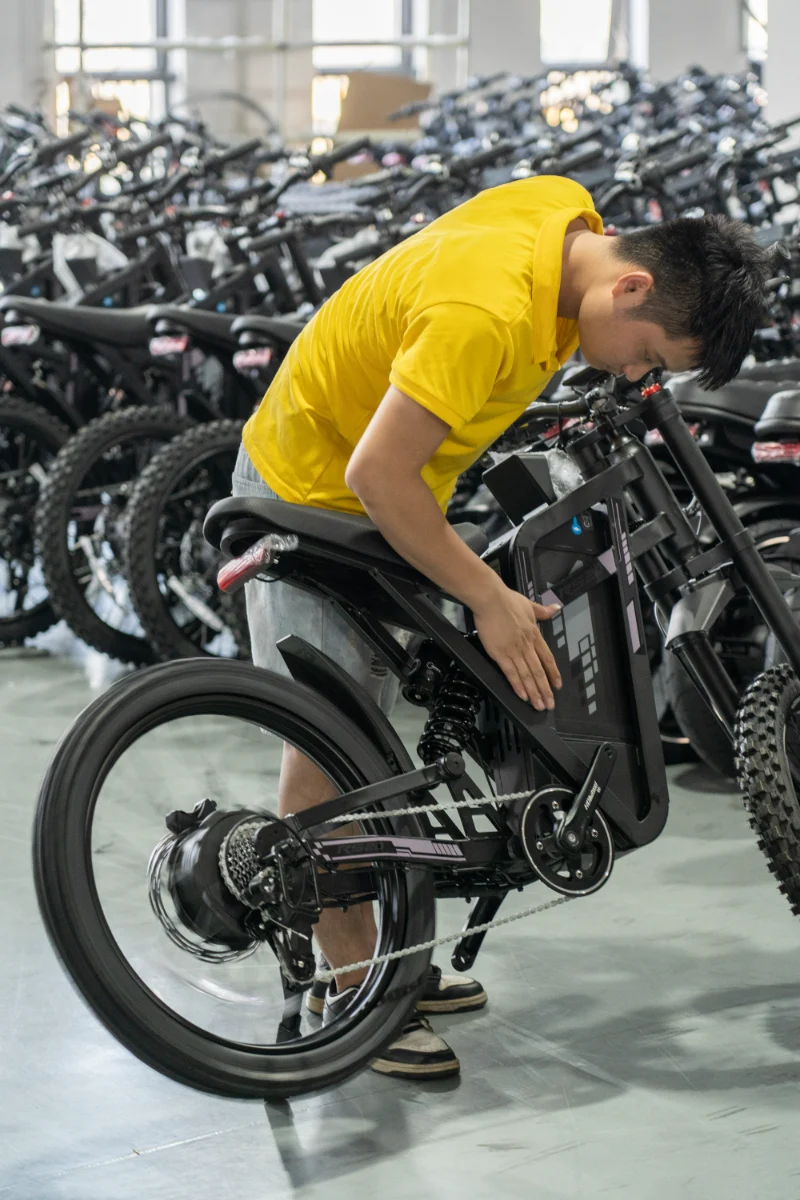 Vélo électrique à double batterie et gros pneus
