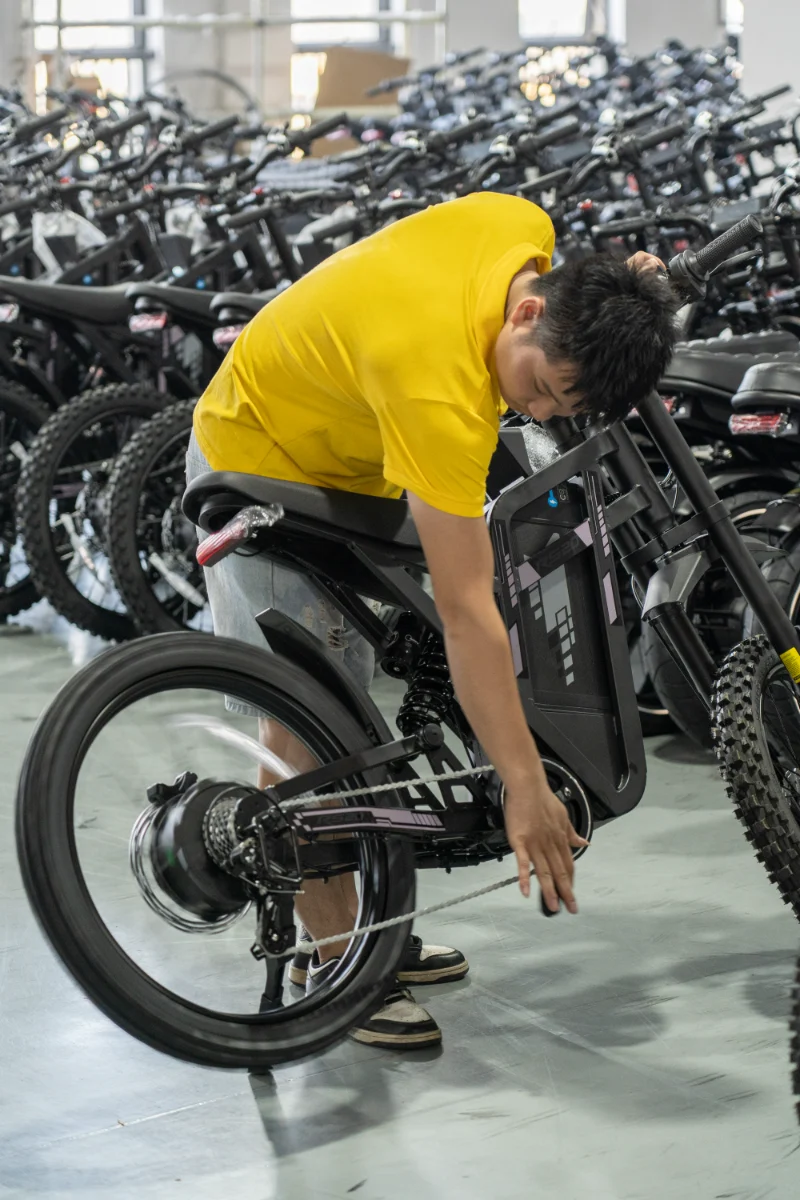 Vélo électrique à double batterie et gros pneus