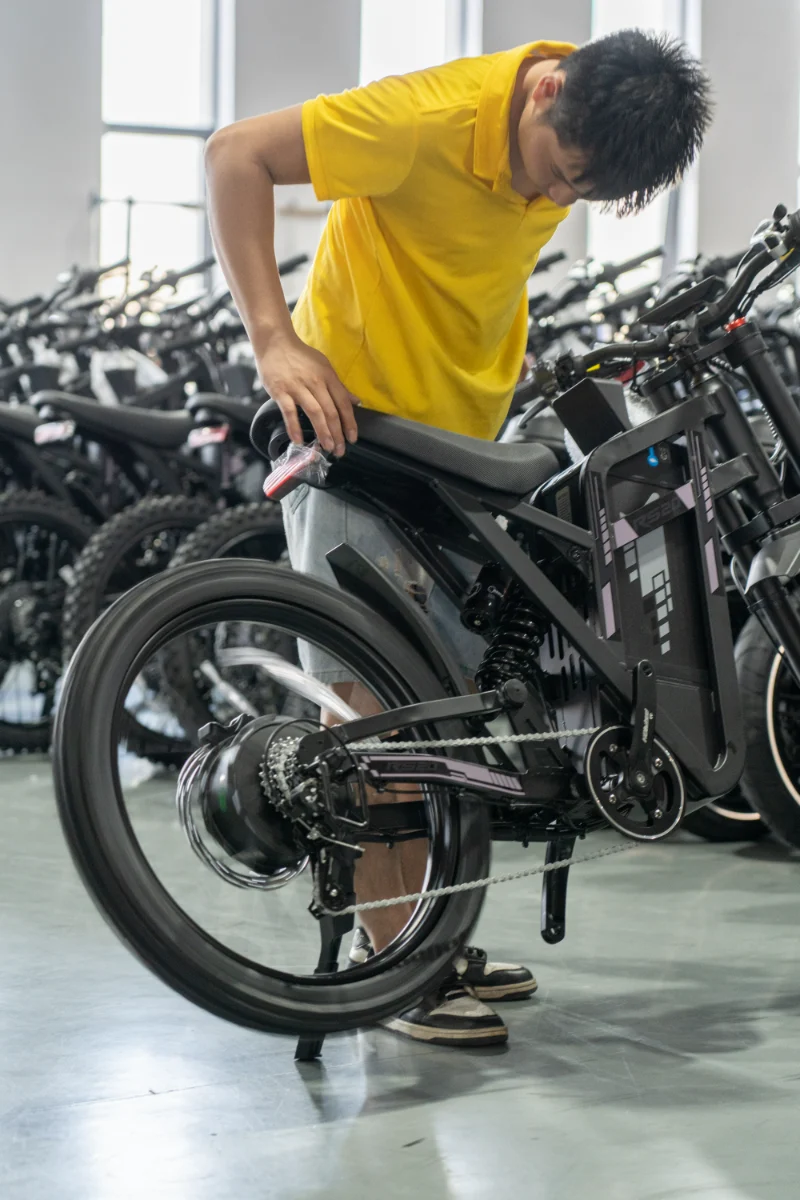 Vélo électrique à double batterie et gros pneus