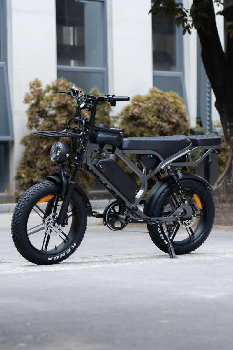Comment les v&eacute;los &eacute;lectriques &agrave; gros pneus personnalis&eacute;s OEM aident les marques &agrave; atteindre des march&eacute;s de niche