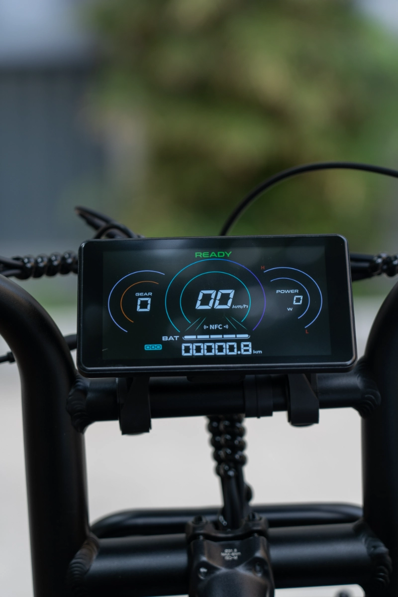 Vélos électriques à gros pneus personnalisés OEM