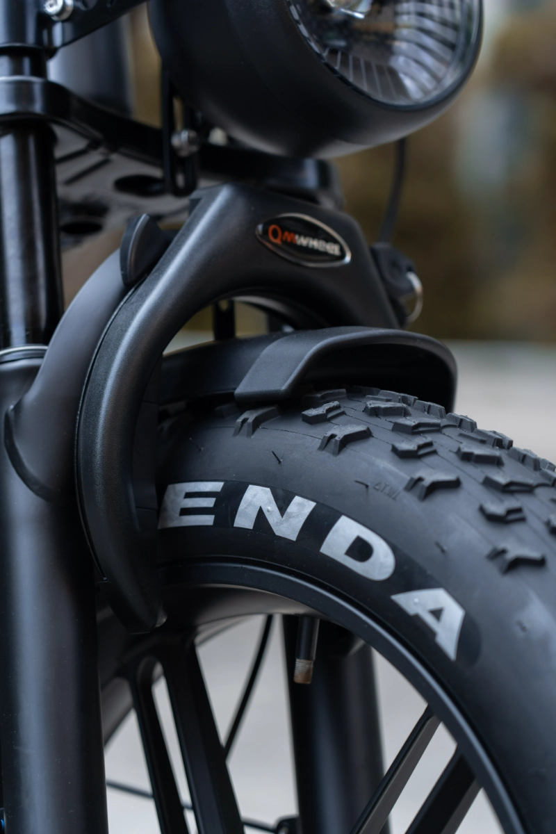 Conception de gros v&eacute;los &eacute;lectriques tout terrain pour les d&eacute;placements domicile-travail et le confort hors route